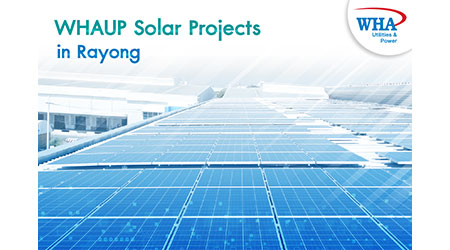 WHAUP Solar Project in Rayong