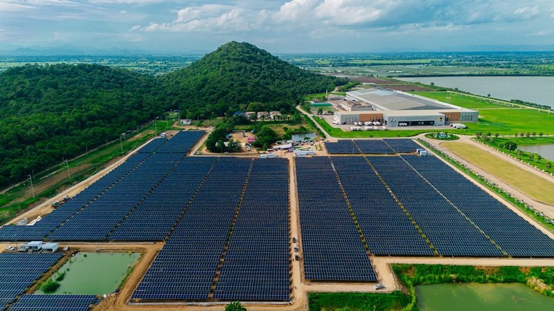 Saha Farm and Golden Line Business