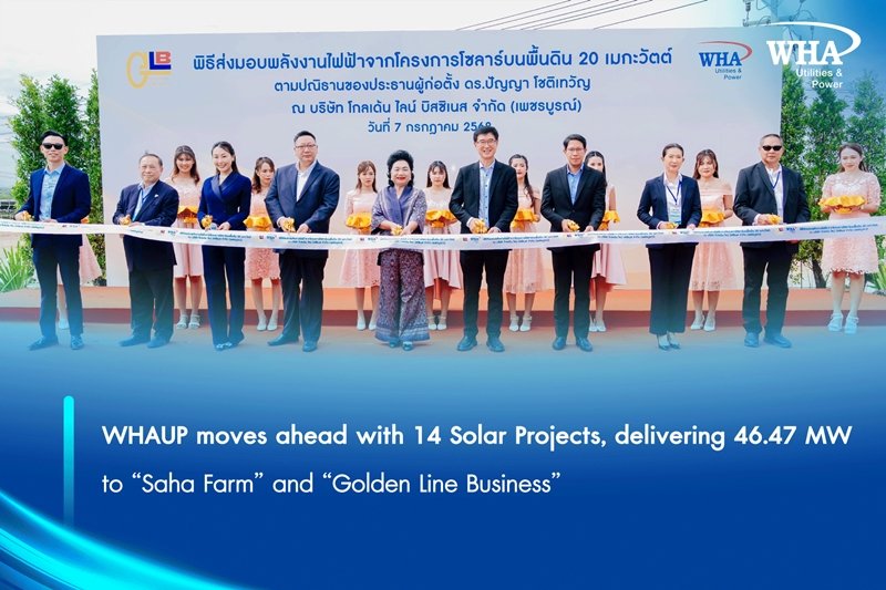 Saha Farm and Golden Line Business